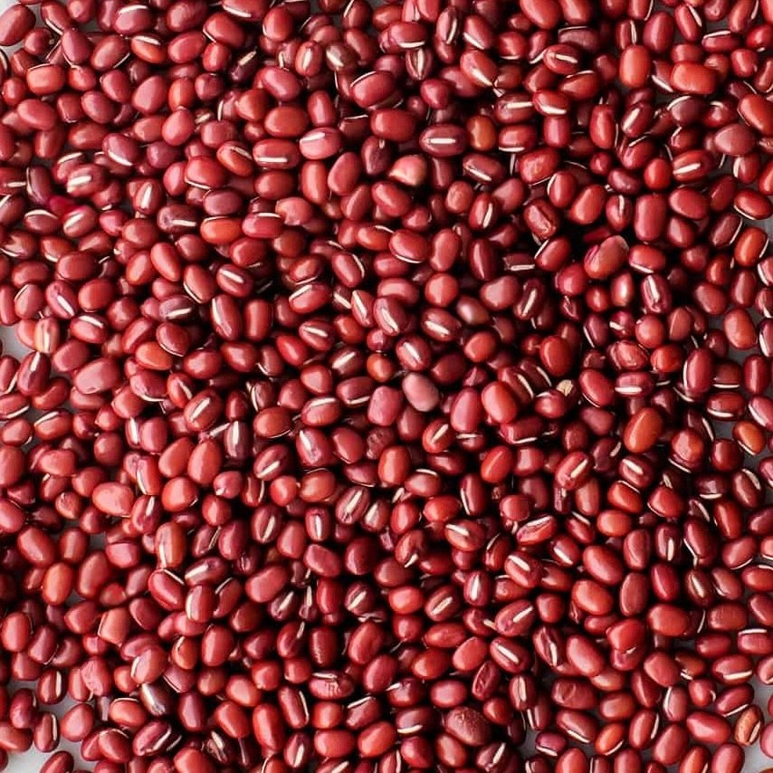 Azuki Bean — The Royal Barge