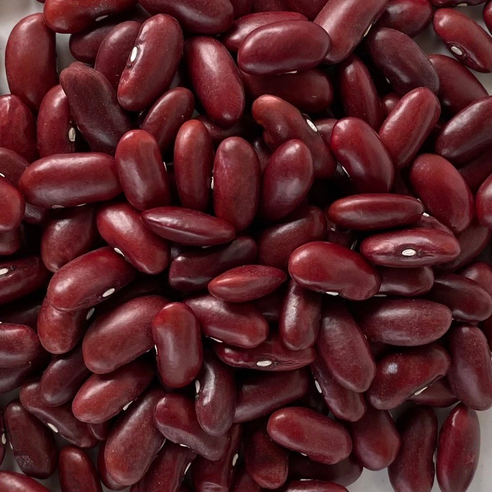 Red Kidney Bean — The Royal Barge